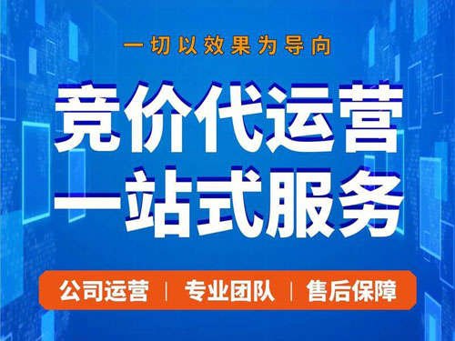 竞价推广 竞价推广